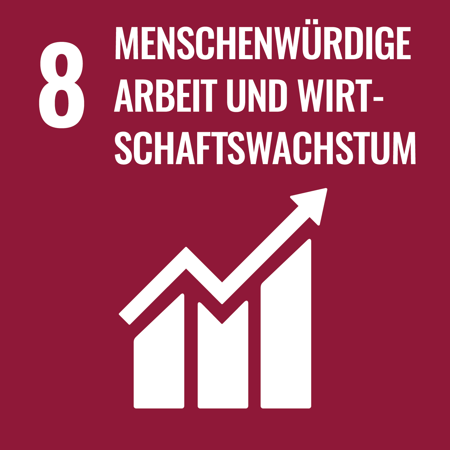 SDG_icons_DE-08